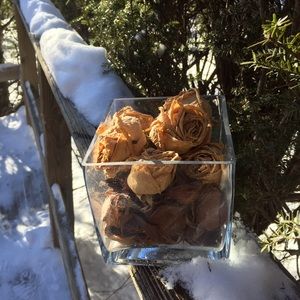 Meet your Posher, Olga